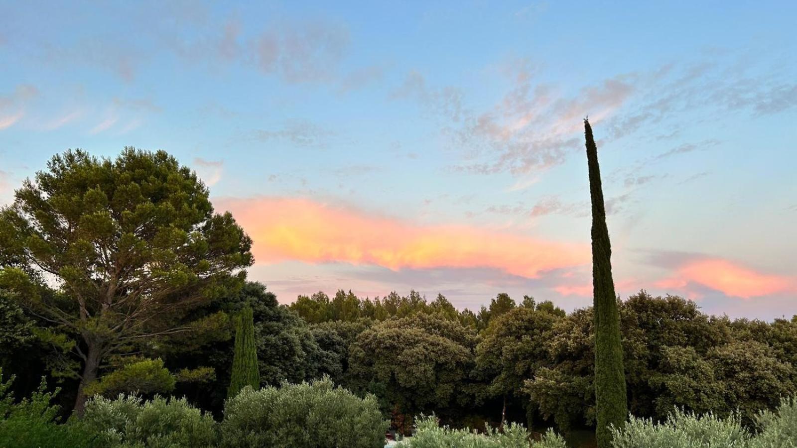 Domaine Colibri En Provence Hotel Pujaut Luaran gambar